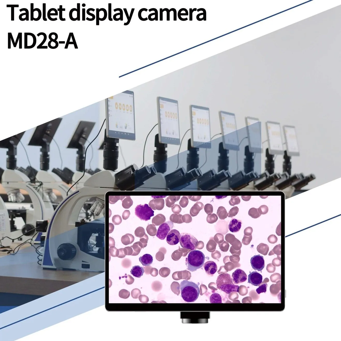 Digital Camera and Smart Display