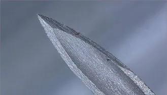Needle tip, 80×, depth fusion