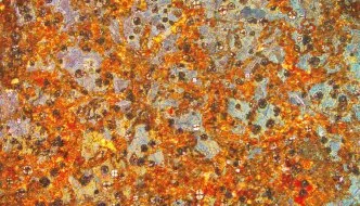 Sample under simple polarization