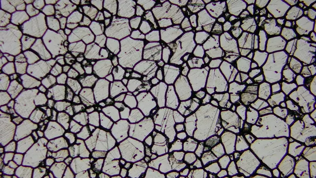 MD28-A sample capture