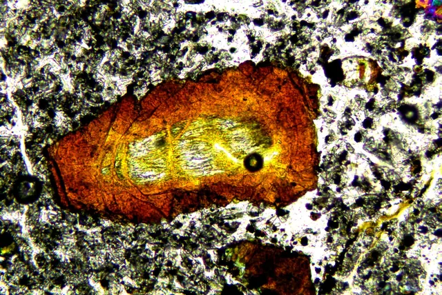 Rock Thin Section 20×