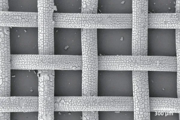 SEM micrograph of mesh grid