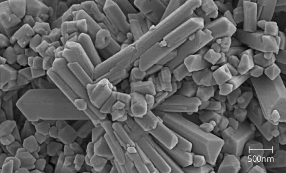 SEM micrograph of crystalline rods