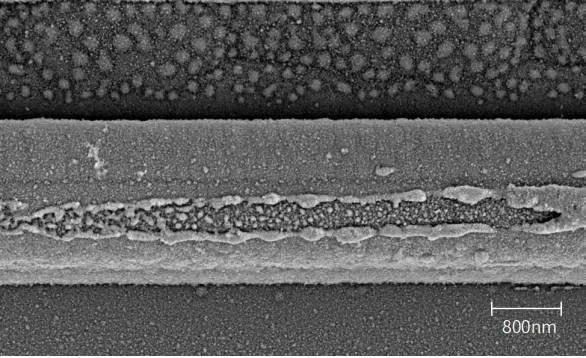 SEM micrograph of nanowire fiber