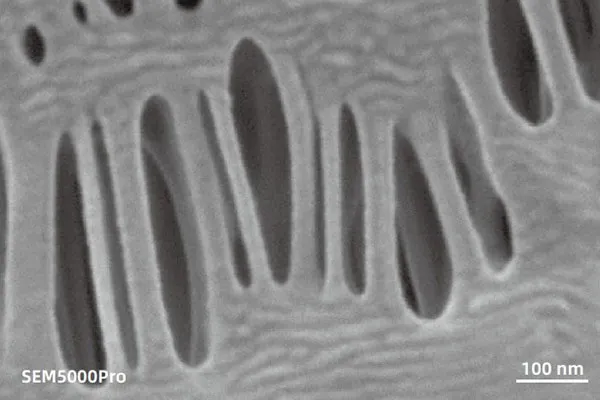 SEM micrograph of mesoporous membrane